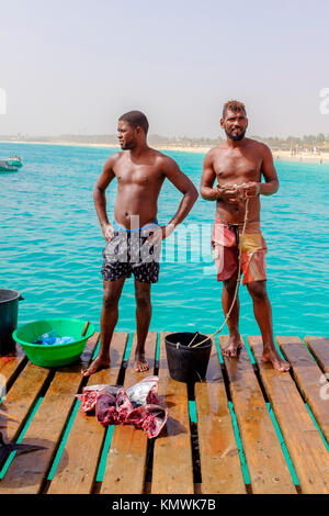 Deux pêcheurs locaux sur la jetée de Santa Maria, Cap Vert, Afrique chefs thon vente Banque D'Images