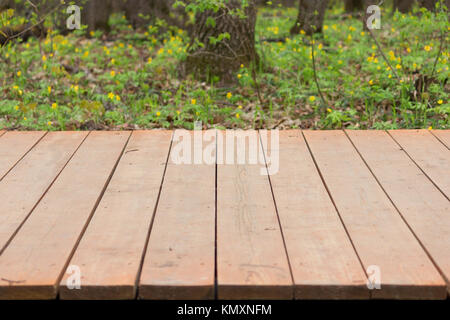 Revêtement en bois dans un parc. arrière-plan pour les collages Banque D'Images