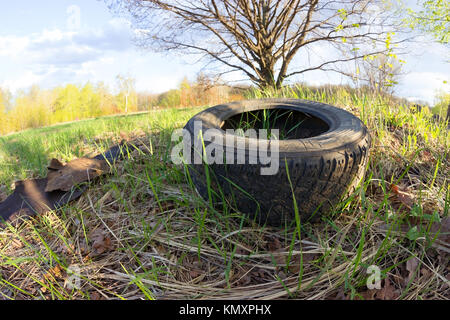 La pollution de la nature. concept de roue automobile on Green grass Banque D'Images