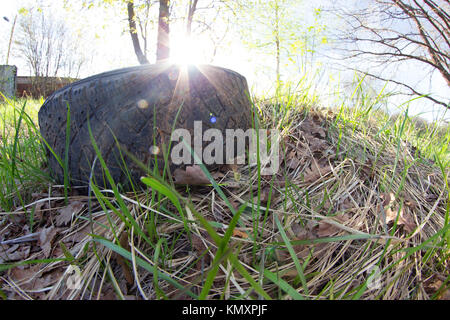 La pollution de la nature. concept de roue automobile on Green grass Banque D'Images