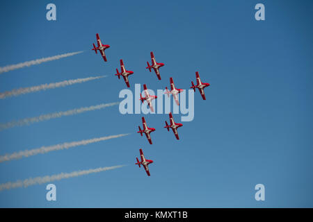 Royal Canadian Snowbirds Vol en formation à l'Airshow 2017 Gowen Thunder' à Gowen Field dans Boise Idaho le 14 octobre 2017 Banque D'Images
