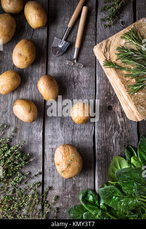 La récolte de pommes de terre et vert potherbs sur fond de bois rustique de la vue supérieure Banque D'Images