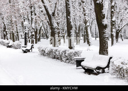 Bancs de neige et les buissons sous les arbres en hiver glacial parc après les chutes de neige Banque D'Images