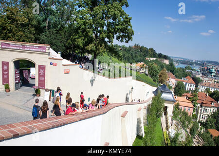 Vignoble de Saint Venceslas sur le château de Prague, la ville basse (UNESCO), Prague, République Tchèque Banque D'Images