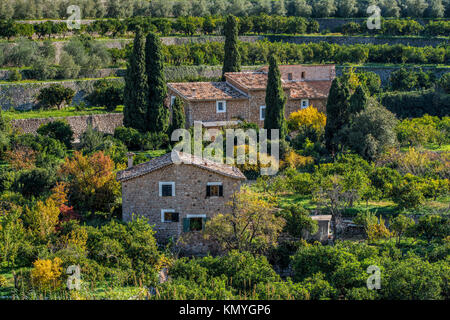 Paysage de campagne avec olivier terrasses, Fornalutx, Majorque, Îles Baléares, Espagne Banque D'Images