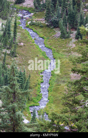 Vue aérienne de stream à travers méandres fores alpin Banque D'Images