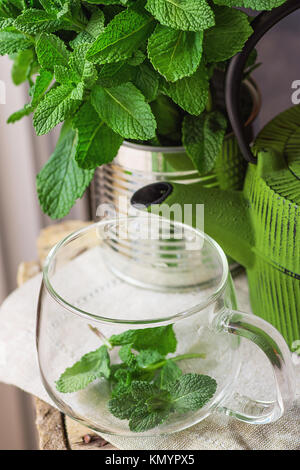 Bouquet de menthe fraîche à Tin Can Coupe VERRE Pot vert serviette sur le linge de maison la préparation pour préparer une tisane Detox nettoyage ethnique La médecine holistique Banque D'Images