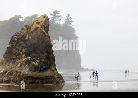 Ruby Beach sur l'océan Pacifique en Olypmic Parc National dans l'État de Washington aux États-Unis Banque D'Images