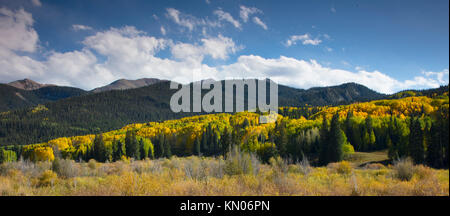 Pass Autumn Aspens Kebler près de Crested Butte Colorado Banque D'Images