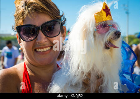 RIO DE JANEIRO - février 19, 2017 : un chien en costume de Wonder Woman pose fièrement avec son propriétaire à l'Blocão fête de rue annuelle pet pendant le carnaval. Banque D'Images