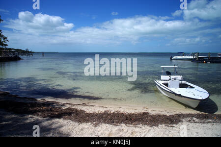 Méditation sur Islamorada Banque D'Images