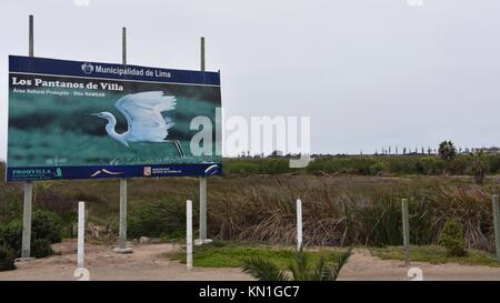 Lima, Pérou - Novembre 1st, 2017 : 'Los Pantanos de Villa', un sanctuaire d'oiseaux et d'animaux sauvages à la périphérie de la Chorillos district de Lima, Pérou Banque D'Images