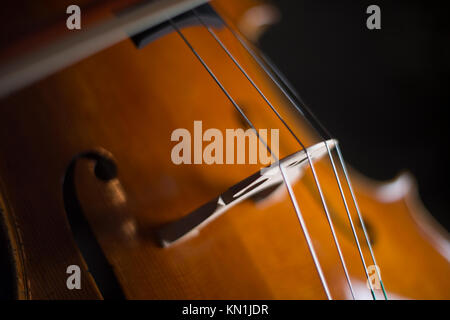 Jouer et tester Pegasus violoncelle à Crémone en Italie par luthier luthier Vladimiro Cubanzi de La Casa del Violino Banque D'Images