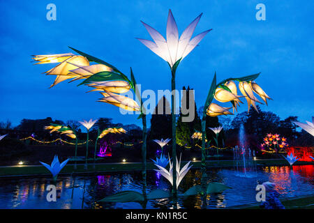 Wisley, Surrey, UK, 09 décembre 2017. Lumineux, brillant, fleurs géant fantastique forment un écran couleur de dans la soirée à l'assemblée annuelle de Noël fêtes Glow événement au Jardins de la Royal Horticultural Society à Wisley, organisé par l'ERS en partenariat avec Smart Energy GB, Crédit : Graham Prentice/Alamy Live News. Banque D'Images