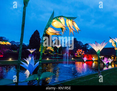 Wisley, Surrey, UK, 09 décembre 2017. Lumineux, brillant, fleurs géant fantastique forment un écran couleur de dans la soirée à l'assemblée annuelle de Noël fêtes Glow événement au Jardins de la Royal Horticultural Society à Wisley, organisé par l'ERS en partenariat avec Smart Energy GB, Crédit : Graham Prentice/Alamy Live News. Banque D'Images