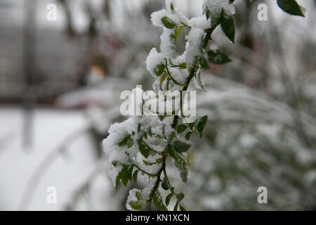 Londres, Royaume-Uni. Déc 10, 2017. Les Londoniens service jusqu'à une couche de neige dans la capitale. Credit : Dinendra Haria/Alamy Live News Banque D'Images