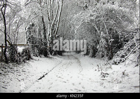 Elsenham, UK. Déc 10, 2017. Hits grand gel Crédit : Knelstrom Elsenham Ltd/Alamy Live News Banque D'Images