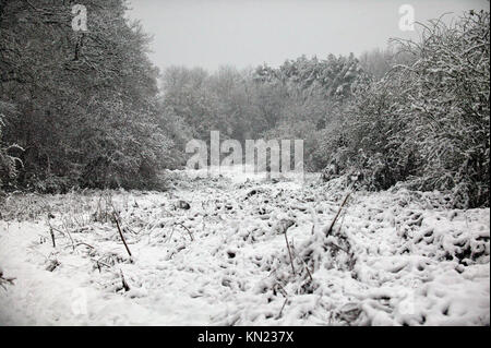 Elsenham, UK. Déc 10, 2017. Hits grand gel Crédit : Knelstrom Elsenham Ltd/Alamy Live News Banque D'Images