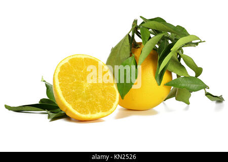 Les oranges avec des feuilles isolées sur fond blanc Banque D'Images