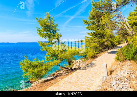 Chemin des pins le long vert avec une vue magnifique sur la mer près de la ville de Primosten, Croatie, Dalmatie Banque D'Images