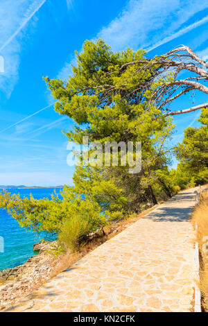 Chemin des pins le long vert avec une vue magnifique sur la mer près de la ville de Primosten, Croatie, Dalmatie Banque D'Images