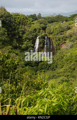 'Opaeka'un tombe sur la partie orientale de l'île hawaïenne de Kaua'i. Banque D'Images