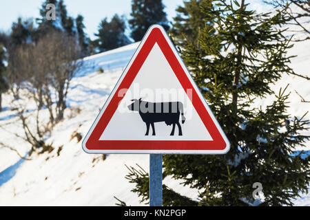Libre d'un panneau d'avertissement en forme de triangle avec une vache noire en son centre. Banque D'Images