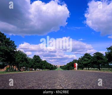 The long Walk, Windsor Great Park, Windsor Castle, Windsor, Angleterre, Berkshire, Royaume-Uni Banque D'Images