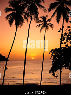 Plage de Las Cuevas, silhouette exotique et tranquille de palmiers et scène de plage, filets de pêche dérivant en surface, route de la Côte Nord, Las Cuevas, Trinidad Banque D'Images