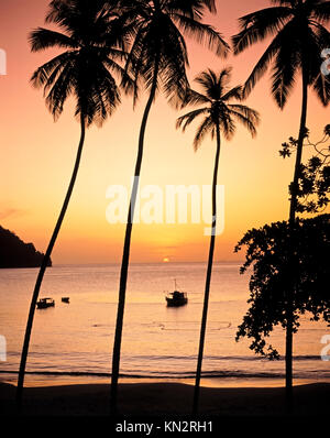 Plage de Las Cuevas, silhouette exotique et tranquille de palmiers et scène de plage, filets de pêche dérivant en surface, route de la Côte Nord, Las Cuevas, Trinidad Banque D'Images