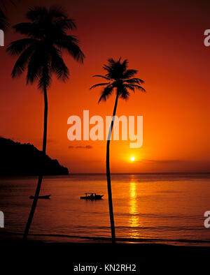 Plage de Las Cuevas, silhouette exotique et tranquille de palmiers et scène de plage, filets de pêche dérivant en surface, route de la Côte Nord, Las Cuevas, Trinidad Banque D'Images