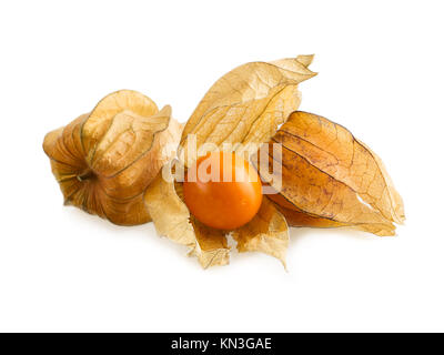 Ou Physalis physalis fruit isolé sur blanc. Physalis mûrs fruits avec calice ouvert Banque D'Images