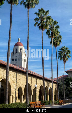 Il s'agit d'une image de l'Université de Stanford et ses environs campus, qui est situé dans la partie nord de la Silicon Valley. C'est l'un des plus Banque D'Images