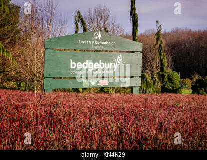 L'entrée du Pinetum national et de la forêt de Bedgebury, à la frontière entre Sussex et Kent. Banque D'Images