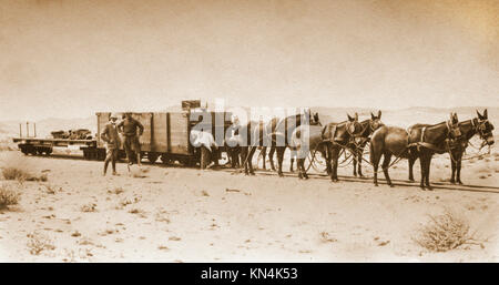 Transport de matériel en 1915, l'âne tirer le wagon de marchandises, Luderitz, ancien Sud-Ouest africain allemand Banque D'Images