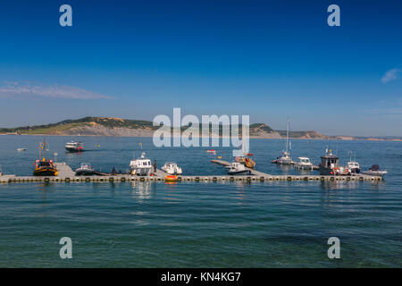 Une sélection des petits bateaux amarrés devant Golden Cap à Lyme Regis sur la côte jurassique Site du patrimoine mondial, Dorset, England, UK Banque D'Images