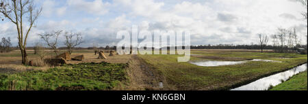 Panorama de prairies et près de reedlands Dwarsgracht Giethoorn Pays-Bas Banque D'Images