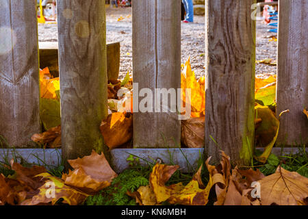 Barrière en bois Aire de jeux couverte dans les feuilles d'automne Jaune Orange Rouge Herbe Automne Banque D'Images