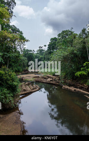 Paysage avec fleuve tropical qui coule paisiblement à travers la forêt luxuriante du Nigéria, Afrique Banque D'Images