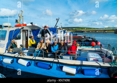 Tour des îles Skelling, Portmagee Harbour, comté de Kerry, Irlande, Europe Banque D'Images