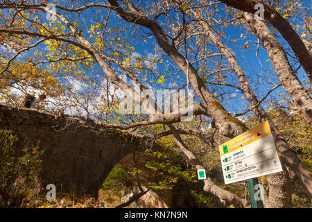 Une partie de la piste de Mainalon, le premier sentier certifié en Grèce, selon l'Association Ramblers, membre des principaux sentiers de qualité. Banque D'Images