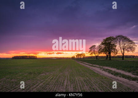 Beau Soleil colorés avec des nuages sur le ciel au champ et arbres. En cachoubie en Pologne. Banque D'Images