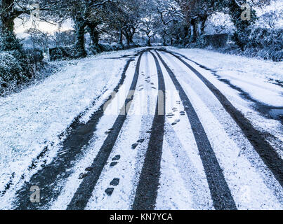 Les traces de pneus dans la neige sur une route de campagne avec une ligne d'arbres Banque D'Images