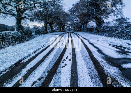 Les traces de pneus dans la neige sur une route de campagne avec une ligne d'arbres Banque D'Images