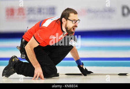 Pilsen, République tchèque. Déc 10, 2017. MARTIN SNITIL (CZE) en action pendant les Jeux Olympiques tournoi de qualification play off match République tchèque contre le Danemark à Pilsen, République tchèque, le 10 décembre 2017. Photo : CTK Miroslav Chaloupka/Photo/Alamy Live News Banque D'Images