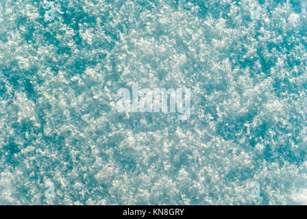 Contexte, la texture : loose surface de neige fraîchement tombée avec flocons individuels perceptibles et Deep Blue Shadows Banque D'Images