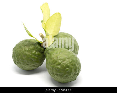 Close up groupe de bergamote fraîche avec des feuilles vertes isolé sur fond blanc. Avantages de la bergamote pour la beauté et la santé concept Banque D'Images