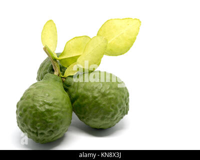 Close up groupe de bergamote fraîche avec des feuilles vertes isolé sur fond blanc. Avantages de la bergamote pour la beauté et la santé concept Banque D'Images