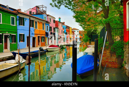 Maisons peintes de couleurs vives sur Burano, Venise Banque D'Images