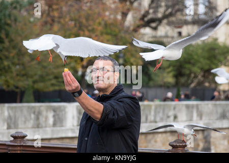 Une alimentation parisien les pigeons et les mouettes à Paris Banque D'Images